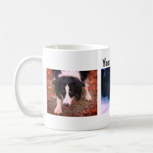 Border Collie Trio Dog Fotografie Kaffeetasse (Links)