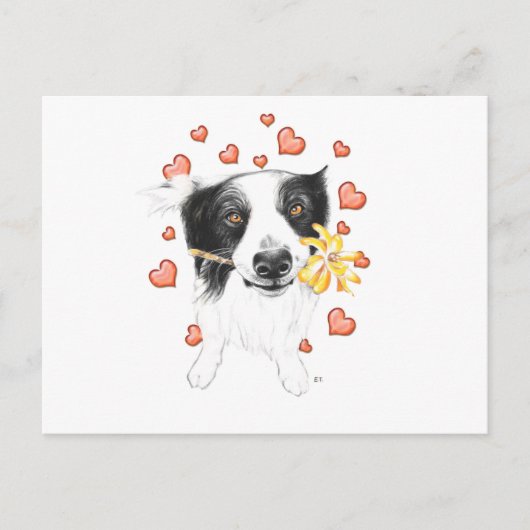 Border Collie und Herz Postkarte (Vorderseite)