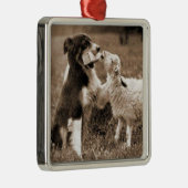 "Border-Collie und Lamm " ~Border Silbernes Ornament (Rechts)