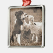 "Border-Collie und Lamm " ~Border Silbernes Ornament (Links)