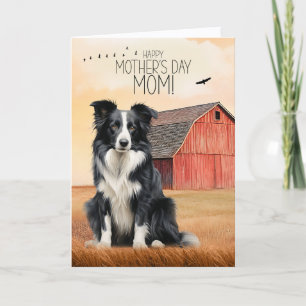 Border Collie und rote Scheune zum Muttertag Feiertagskarte