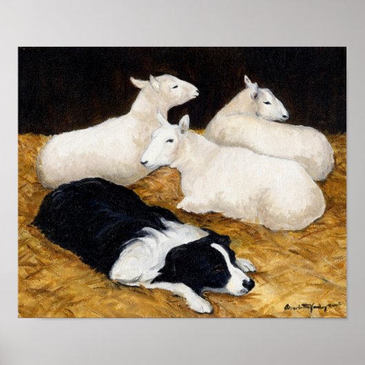 Border Collie und Sheep Dog Art drucken Poster (Vorne)
