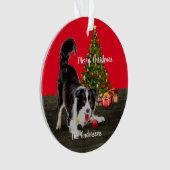Border Collie und Weihnachtsbaum Ornament (Vorderseite)