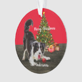 Border Collie und Weihnachtsbaum  Ornament (Vorderseite)