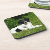 Border Collie Untersetzer (Linke Seite)