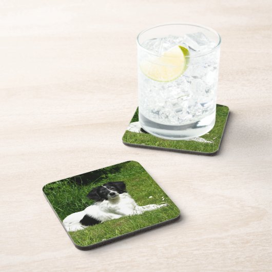 Border Collie Untersetzer (Rechte Seite)