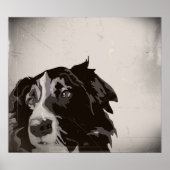 Border Collie urban no 1 art poster (Vorne)