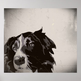 Border Collie urban no 1 art poster