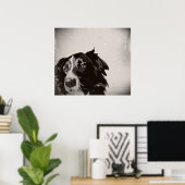 Border Collie urban no 1 art poster (Heimbüro)