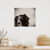 Border Collie urban no 1 art poster (Küche)
