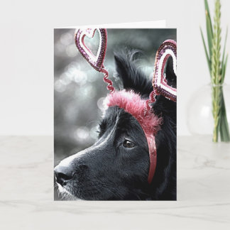 Border Collie Valentine Card Feiertagskarte