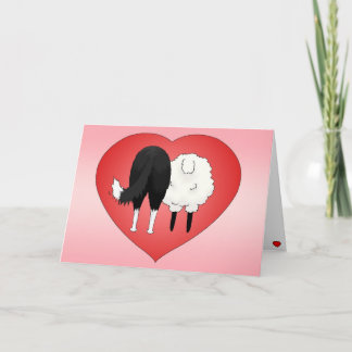 Border-Collie-Valentinstag Feiertagskarte