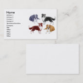 Border-Collie verfolgt Visitenkarte (Vorne/Hinten)