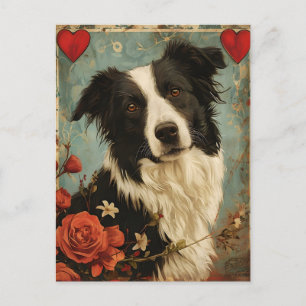 Border Collie Vintag Valentinstag Postkarte