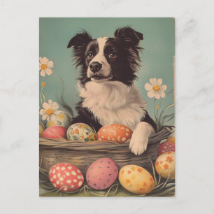 Border Collie Vintage Ostern Postkarte