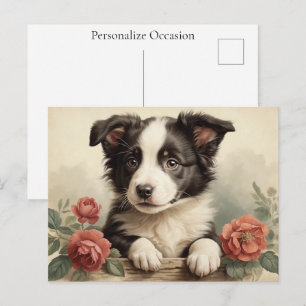 Border Collie Vintage Süßer Welpe Hund Porträt Ros Feiertagspostkarte
