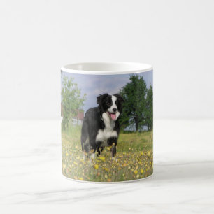 Border-Collie volles 3.png Kaffeetasse
