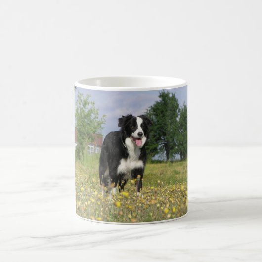 Border-Collie volles 3.png Kaffeetasse (Mittel)