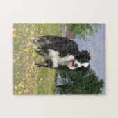 Border-Collie volles 3.png Puzzle (Horizontal)