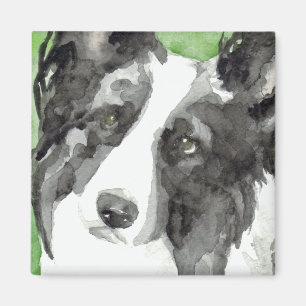 Border Collie Wasserfarben Magnet
