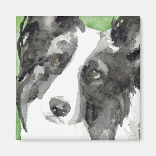 Border Collie Wasserfarben Magnet (Vorne)