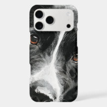 Border Collie-Wasserfarbenporträt
