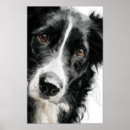 Border collie watercolor portrait poster