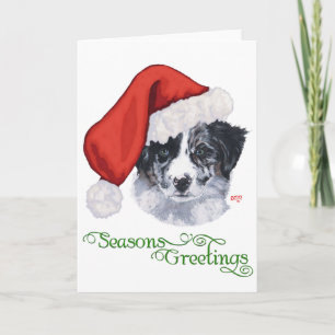 Border Collie Weihnachten