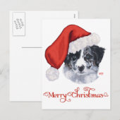 Border Collie Weihnachten (Vorne/Hinten)