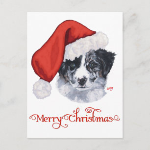 Border Collie Weihnachten