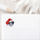Border Collie Weihnachten (Insitu)