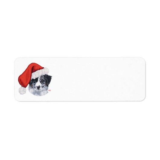 Border Collie Weihnachten (Vorne)