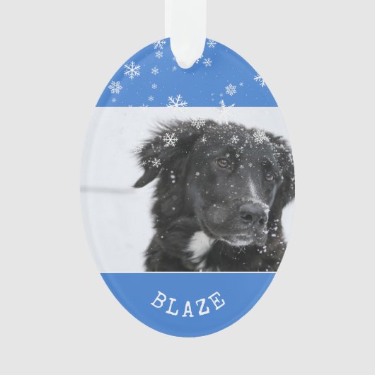 Border Collie Weihnachten Personalisiertes Foto Ornament (Vorderseite)