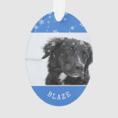 Border Collie Weihnachten Personalisiertes Foto Ornament (Rückseite)