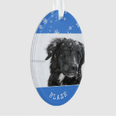 Border Collie Weihnachten Personalisiertes Foto Ornament (Vorderseite)