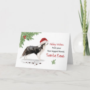 Border Collie Weihnachten Von Hund in Funny Santa Karte