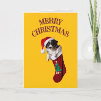 Border Collie Weihnachts-Strumpf