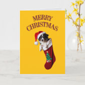 Border Collie Weihnachts-Strumpf Karte (Gelbe Blume)
