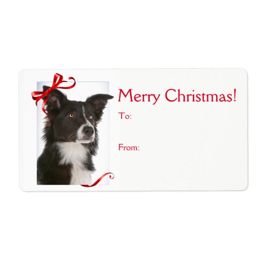 Border Collie Weihnachtsgeschenke Stickers (Vorne)