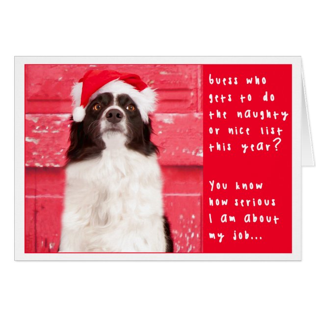 Border-Collie-Weihnachtskarte (Vorderseite (Horizontal))