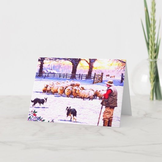 Border-Collie-Weihnachtskarte Feiertagskarte (Vorderseite)