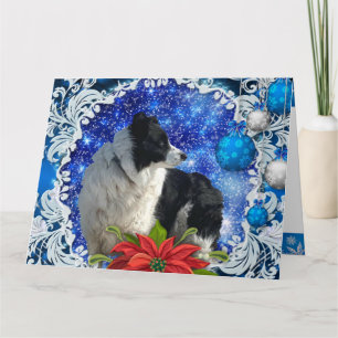 Border Collie Weihnachtskarte Karte