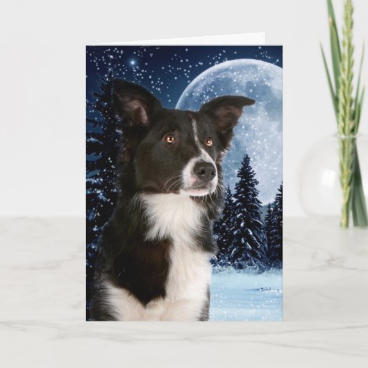 Border Collie Weihnachtskarten Feiertagskarte (Vorderseite)