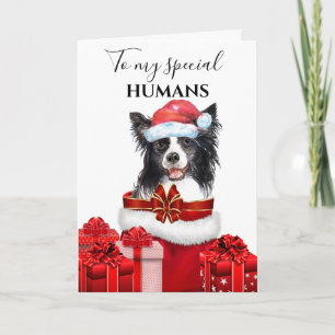 Border Collie Weihnachtswünsche Karte