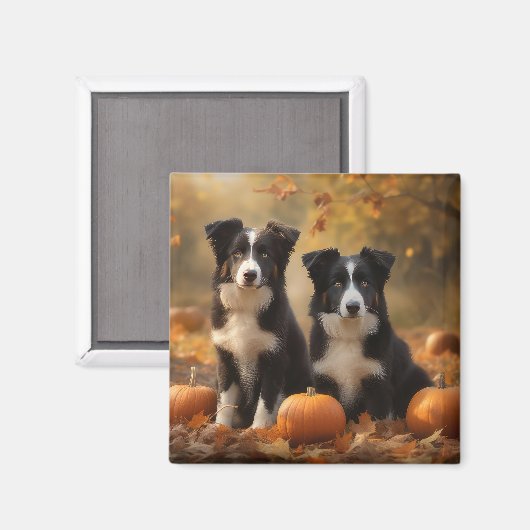 Border Collie Welpe Autumn Delight Pumpen Magnet (Vorderseite/Rückseite)
