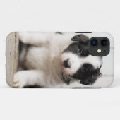 Border-Collie-Welpe Case-Mate iPhone Hülle (Rückseite (Horizontal))