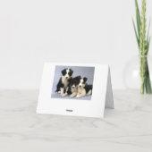 Border Collie Welpe Doppy Blank Note Card Dankeskarte (Rückseite)