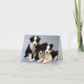 Border Collie Welpe Doppy Blank Note Card Dankeskarte (Vorderseite)