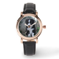 Border Collie Welpe Farm Life,