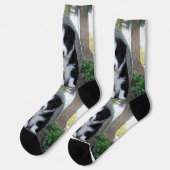 Border Collie Welpe Farm Life, Socken (Linkes Detail)